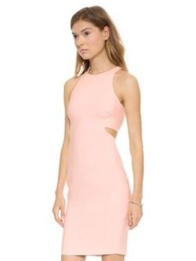Elizabeth and James Blush Pink Cutout Mini Dress